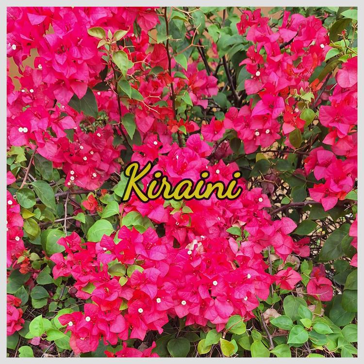 Kiraini's avatar image