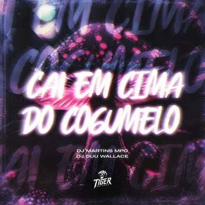 Cai em cima do cogumelo's cover