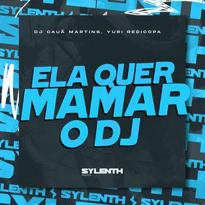 Ela Quer Mamar o DJ (feat. Yuri Redicopa) (feat. Yuri Redicopa) By DJ CAUÃ MARTINS, Yuri Redicopa's cover