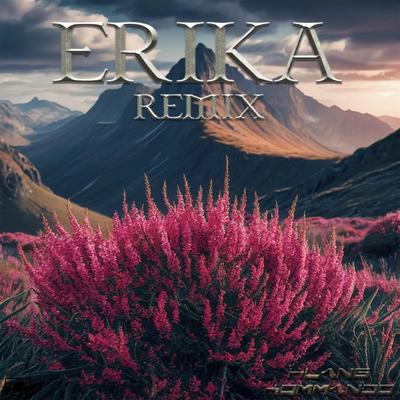 Erika Remix's cover