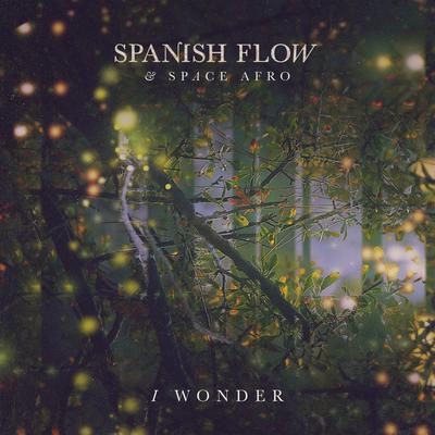 I Wonder (Maghreb Mix) By Spanish Flow, Space Afro's cover