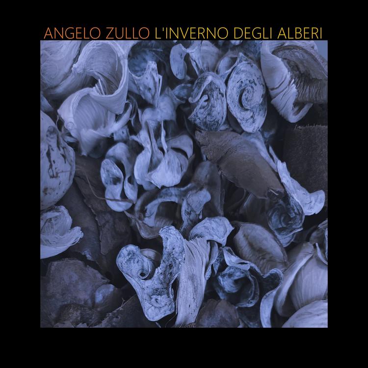 Angelo Zullo's avatar image