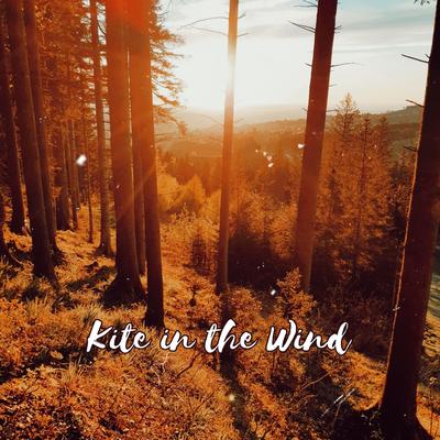 Kite in the Wind By Dave D's cover