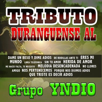 Tributo Duranguense Yndio's cover