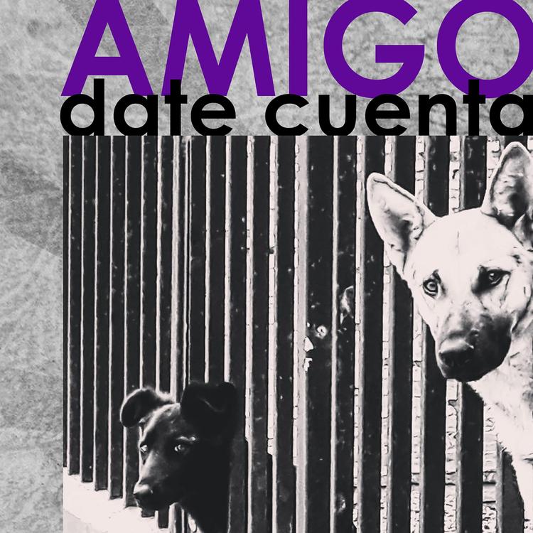 AMIGO DATE CUENTA's avatar image