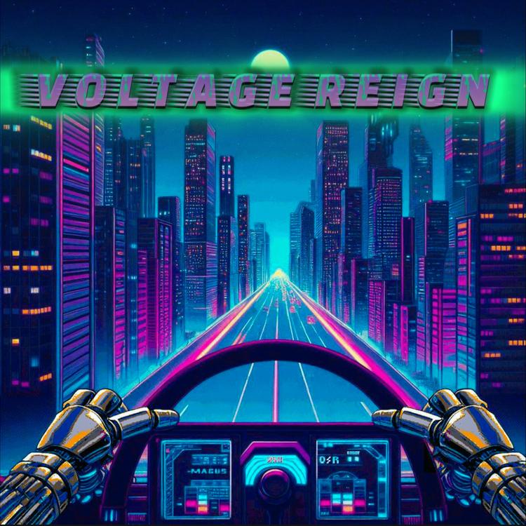 Voltage Reign's avatar image