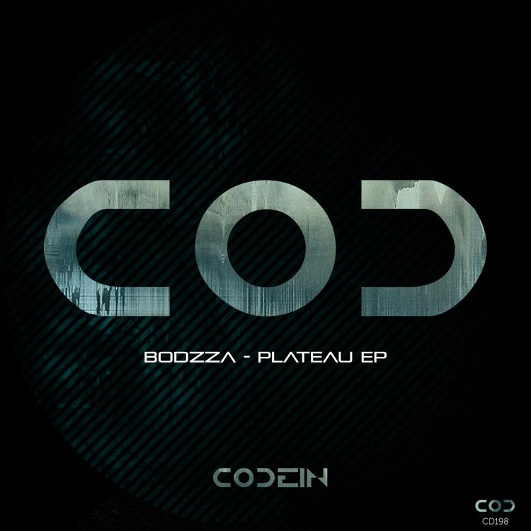 Bodzza's avatar image