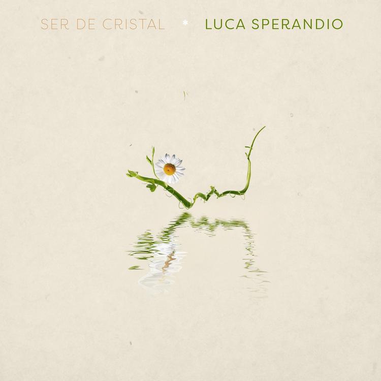 Luca Sperandio's avatar image