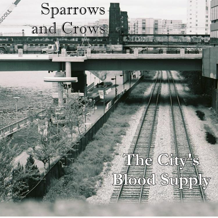 Sparrows and Crows's avatar image