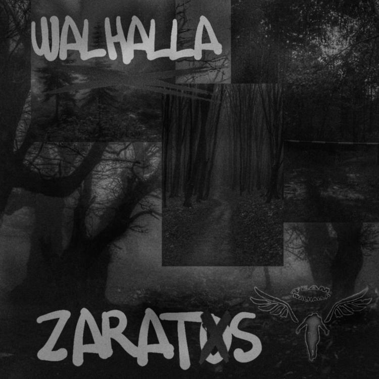 ZaRaTos's avatar image