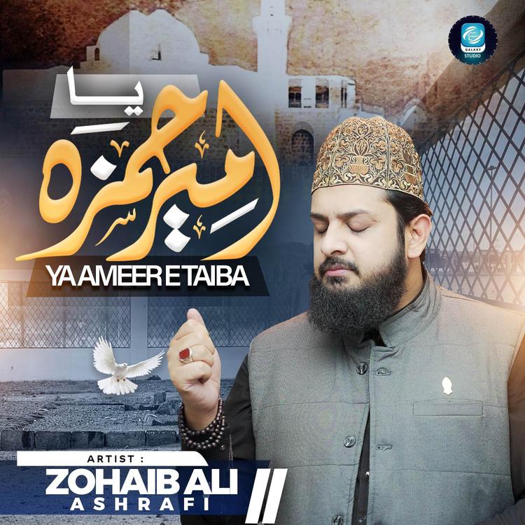 Zohaib Ali Ashrafi's avatar image