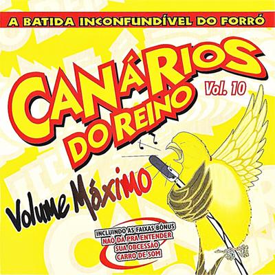 Amor De Motel By Canários do Reino's cover