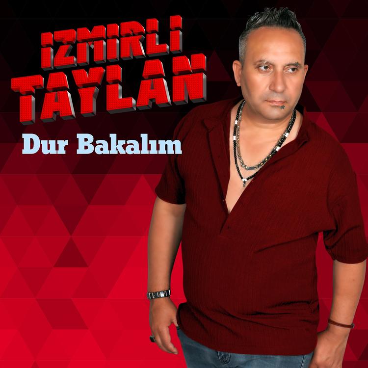 İzmirli Taylan's avatar image