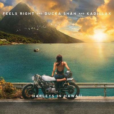 Harleys In Hawaii By Feels Right, Ducka Shan, Kadillax's cover