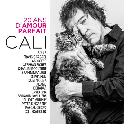 C'est quand le bonheur ? By Cali, Francis Cabrel's cover