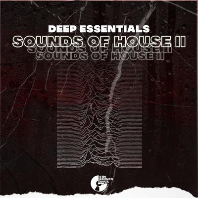 Sounds of House II's cover