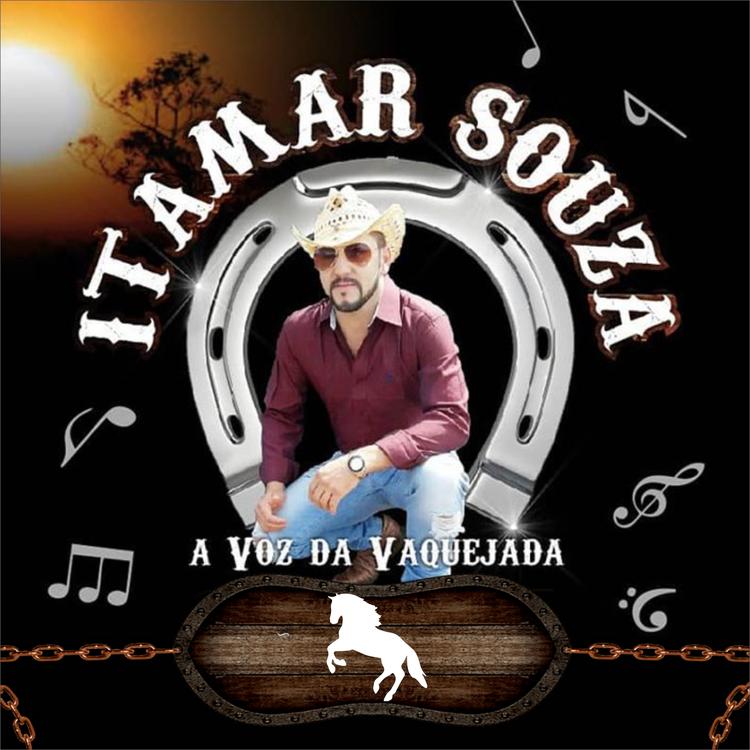 Itamar Souza's avatar image