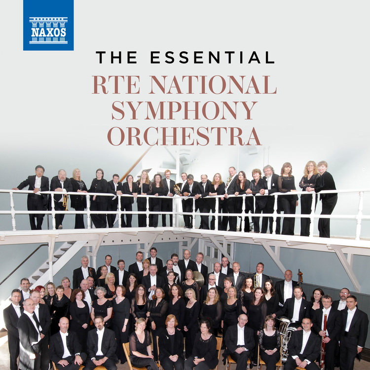 RTÉ National Symphony Orchestra's avatar image
