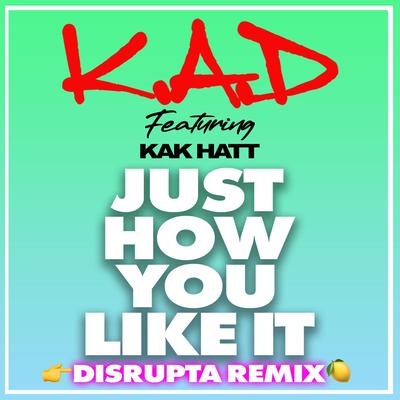 Just How You Like It (Disrupta Remix) By K.A.D, KAK HATT's cover