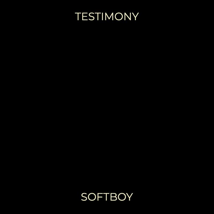 SoftBoy's avatar image