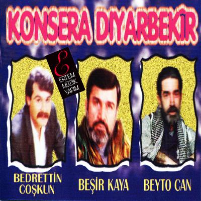 Konsera Diyarbekir's cover