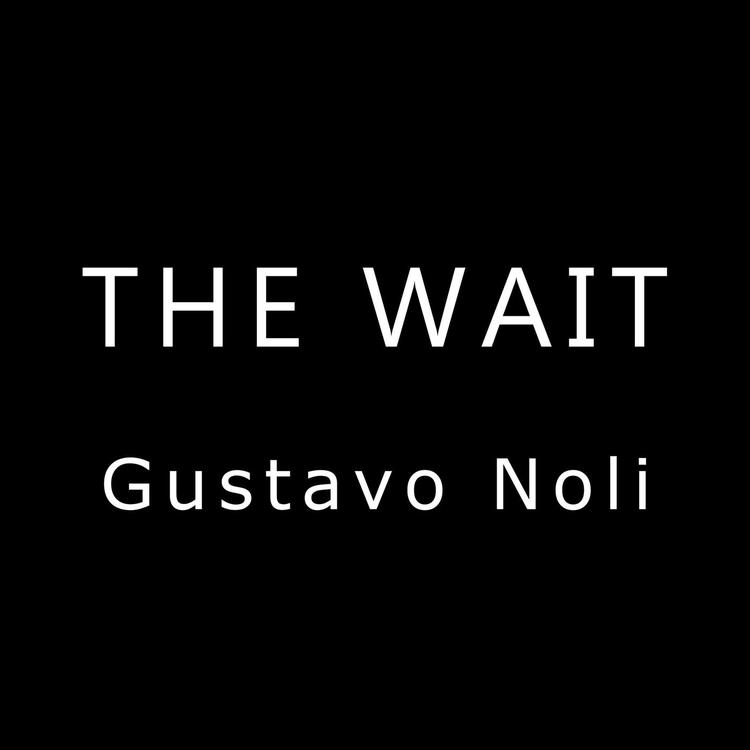 Gustavo Noli's avatar image