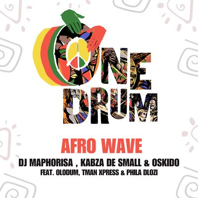 Afro Wave's cover