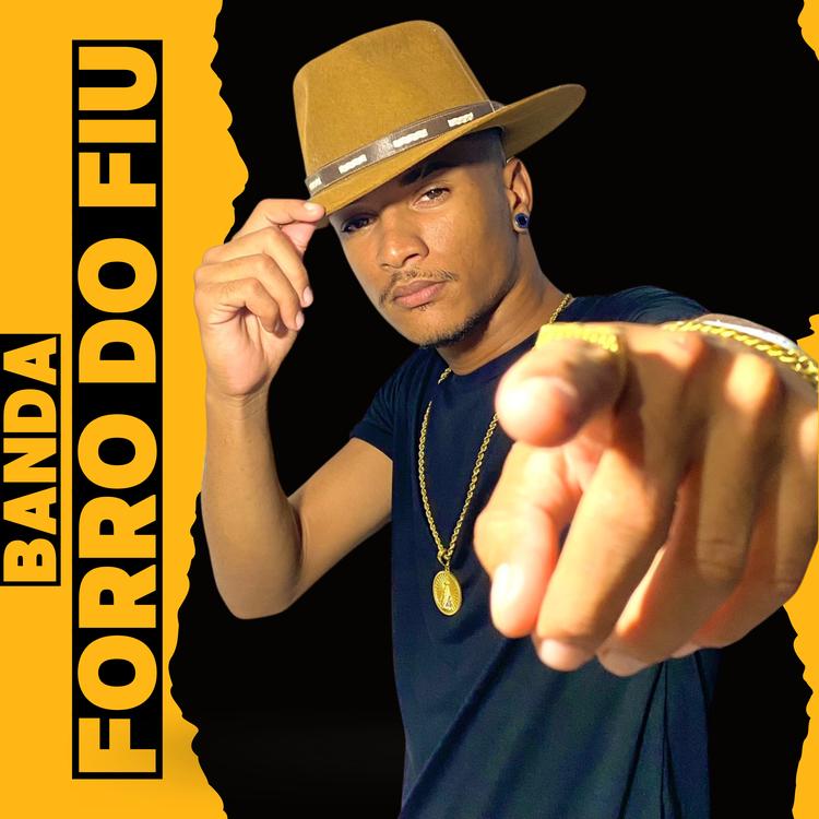 Banda Forro do Fiu's avatar image