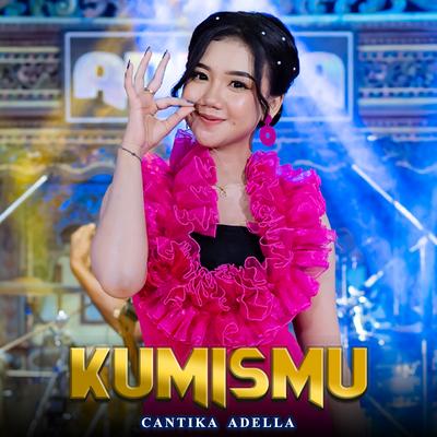 Cantika Nuswantoro Adella's cover