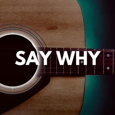 Say Why (acoustic)'s cover