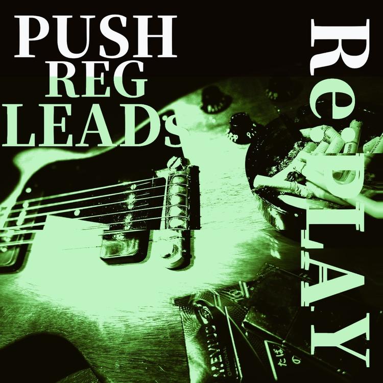 PUSH REG LEADs's avatar image