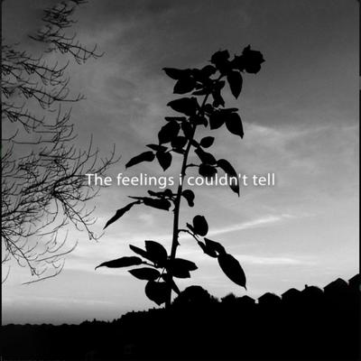The Feelings I Couldn't Tell's cover