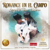 Conjunto Tierra Chilena's avatar cover