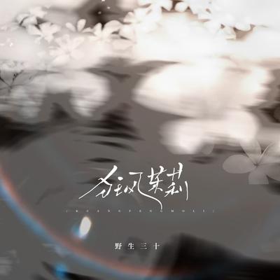 狂风茉莉's cover