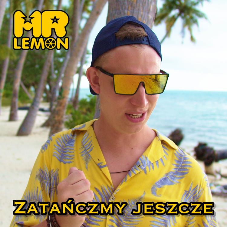 Mr Lemon's avatar image