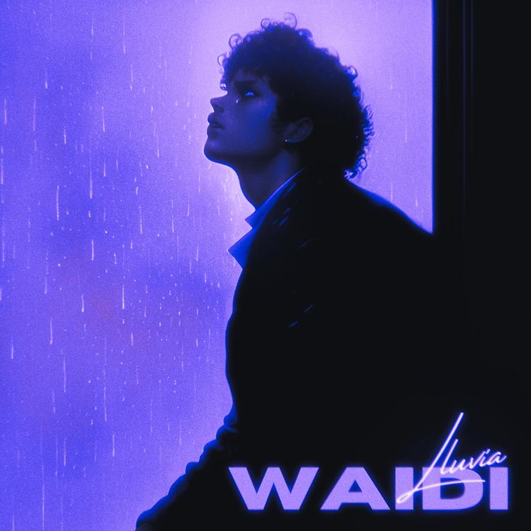 Wai Di's avatar image