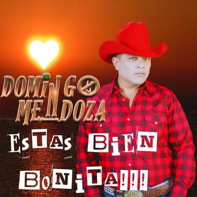 Estas Bien Bonita By Domingo Mendoza's cover