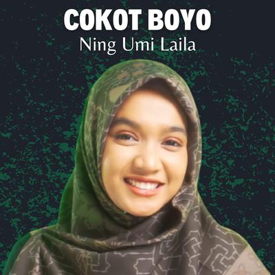 Cokot Boyo's cover