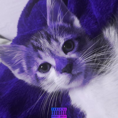 My Cat Made a Phonk's cover