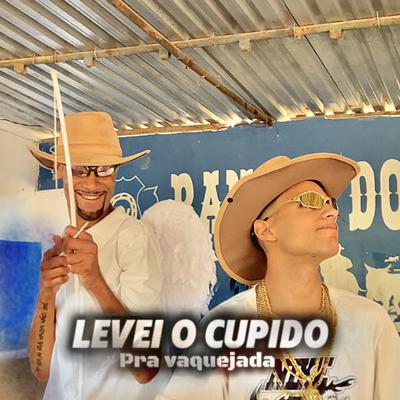 Levei o Cupido pra Vaquejada's cover