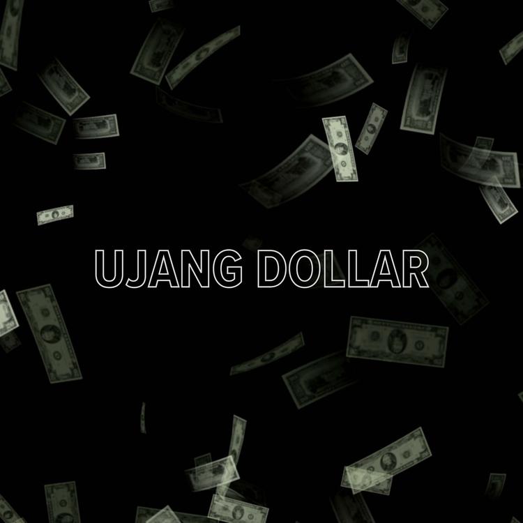 Ujang Dollar's avatar image