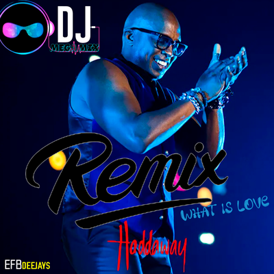 What Is Love (Remix) By Dj Mega Mix, Haddaway, Efb Deejays's cover