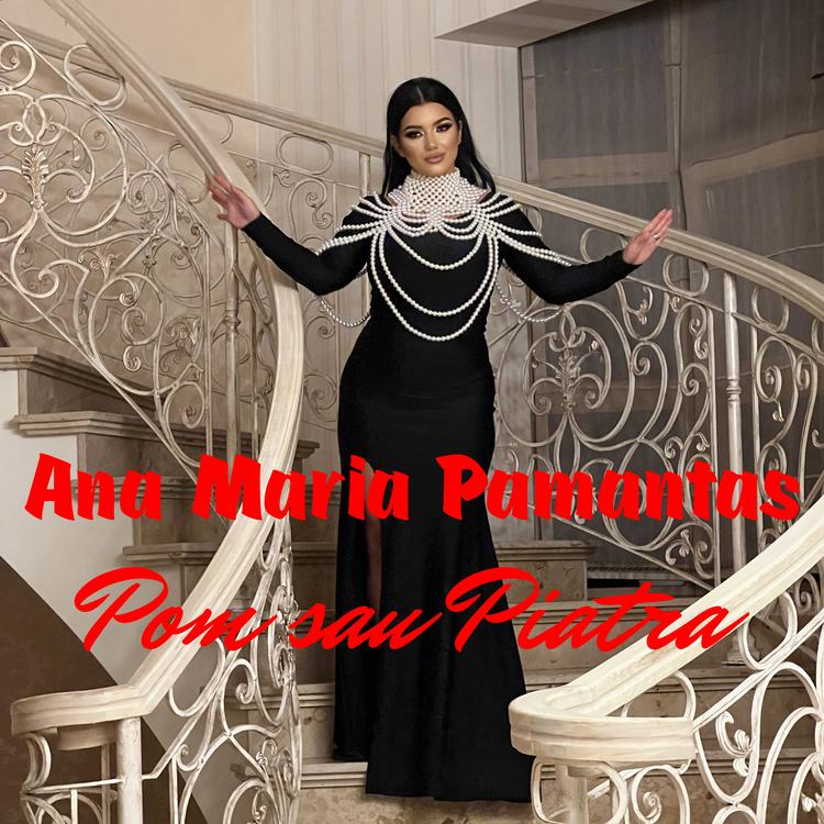 Ana Maria Pământaș's avatar image