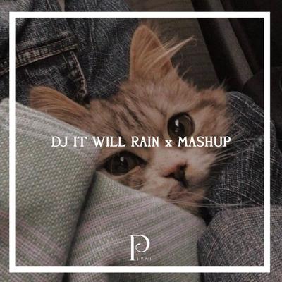 DJ IT WILL RAIN x MASHUP's cover