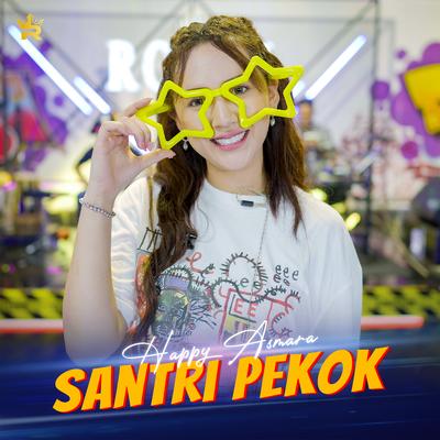 Santri Pekok's cover