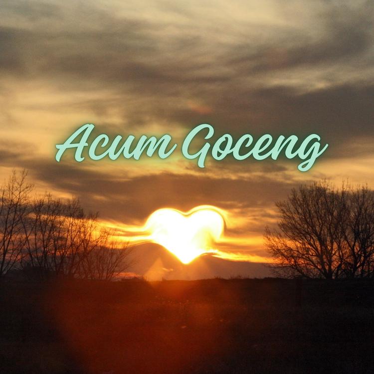 Acum Goceng's avatar image