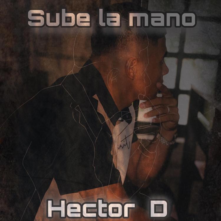 Hector D's avatar image