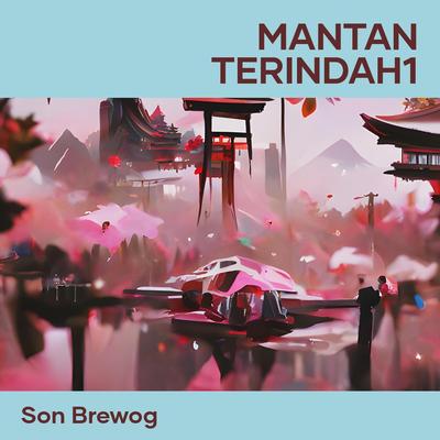 son brewog's cover