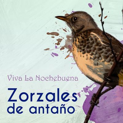 Concha Nacar By Juan Arvizu's cover