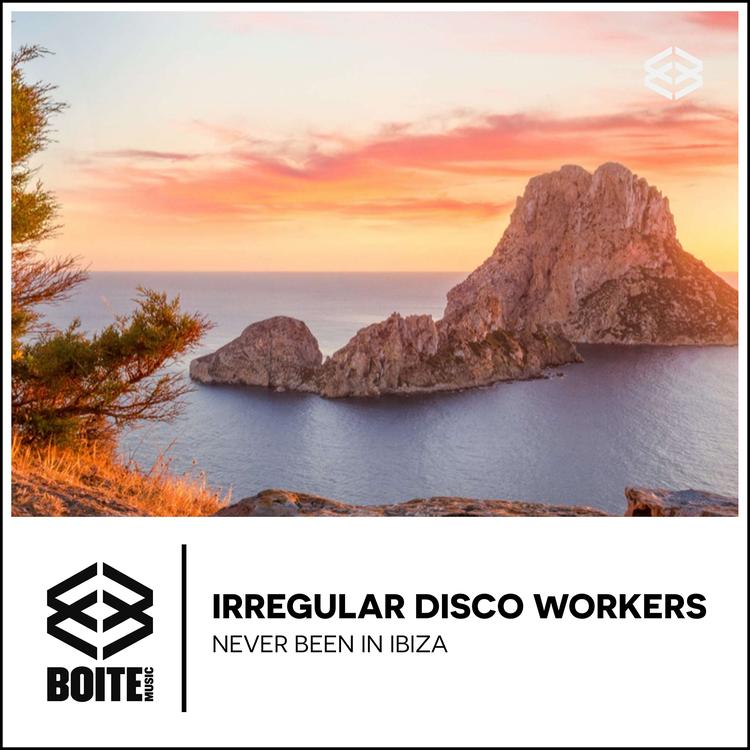 Irregular Disco Workers's avatar image